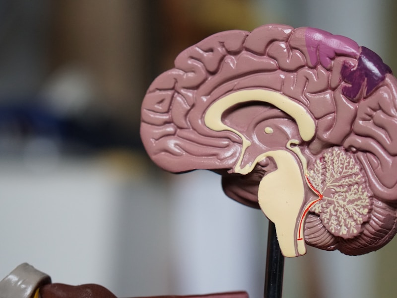 AI Chatbot for Dental Clinics – Enhance Patient Experience - Featured Image